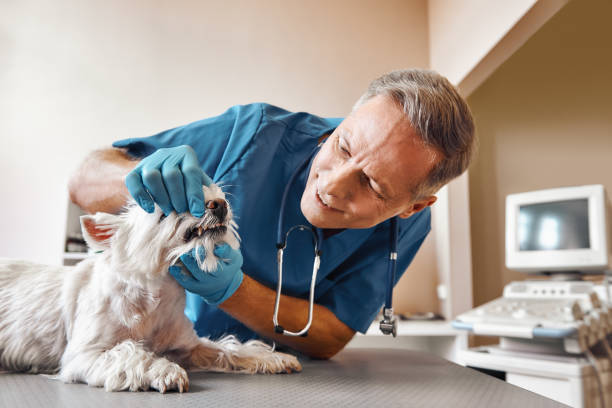 Best Emergency Tooth Extraction in Erwin, TN